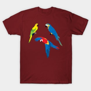 Tropical parrots, wildlife, nature, Carribean Islands T-Shirt